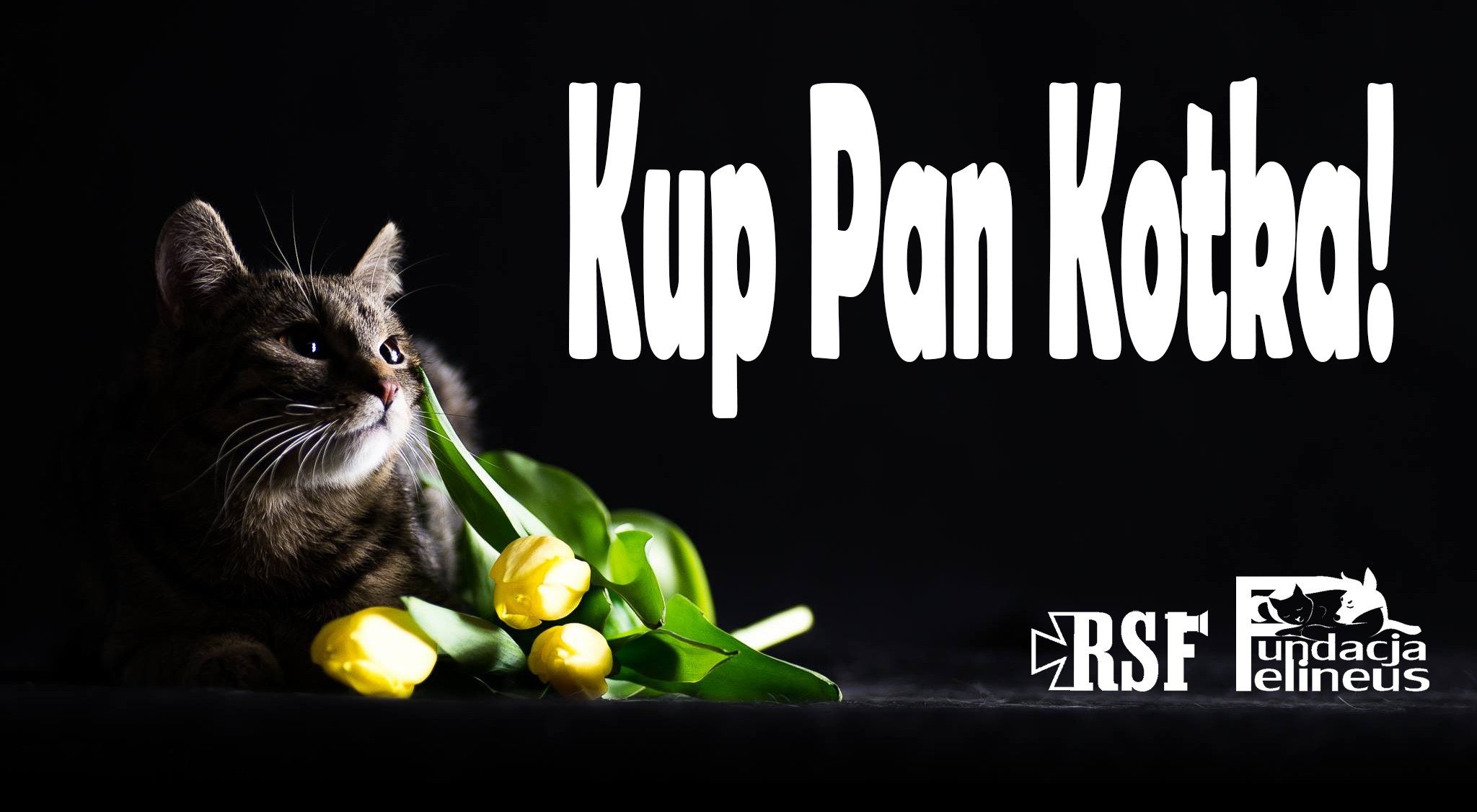 Kup Pan Kotka